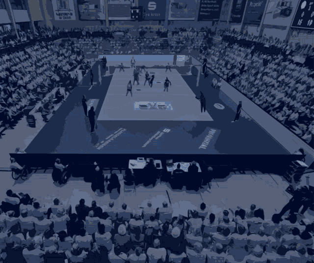 Lina Alsmeier Ssc GIF