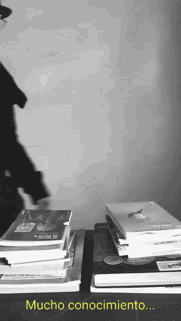 Renacimiento Conocimiento GIF