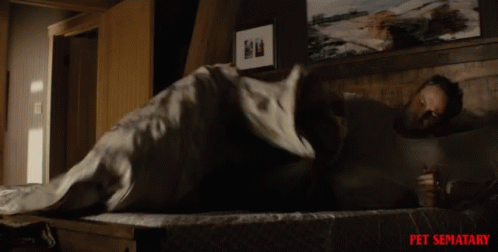 Dirty Feet Muddy Feet GIF - Dirty Feet Muddy Feet Bed GIFs