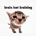 a cat is standing in front of a white background with the words `` brain isnt braining '' written on it .