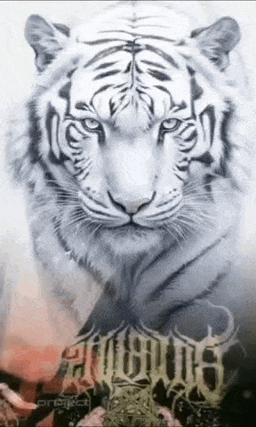 a white tiger with blue eyes is standing in front of a white background and flowers .