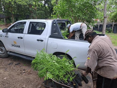a white jaguar truck is parked in the dirt