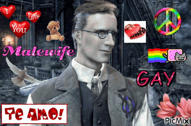 a man with glasses is surrounded by hearts and a peace sign and says " malewife "