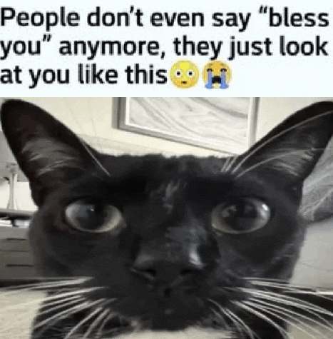 a black cat with a caption that says people don 't even say bless you anymore , they just look at you