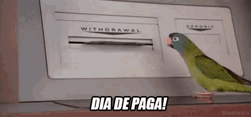 a green parrot is standing next to an atm machine and says dia de paga .