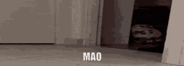 a cat is walking through a doorway with the word mao written on it .