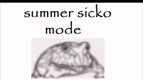 a black and white drawing of a frog with the words summer sicko mode above it
