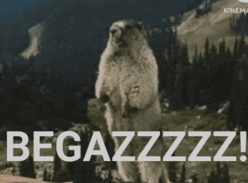 a ground squirrel standing on its hind legs with the word begazzz written in white