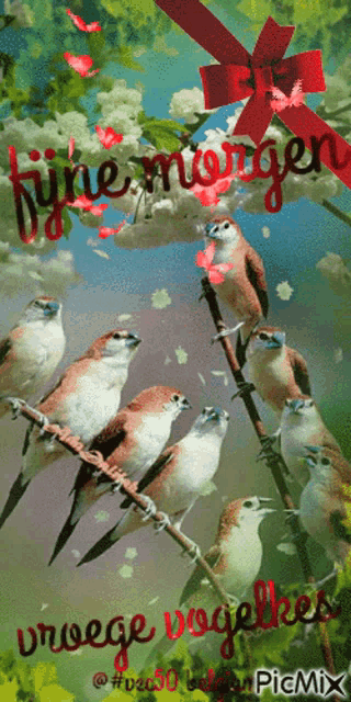 a bunch of birds sitting on a branch with the words fijne morgen