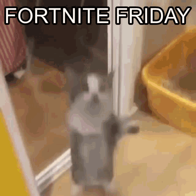 a cat is standing in front of a door with the words fortnite friday written on it