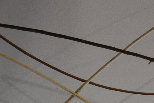 a bunch of sticks hanging from the ceiling