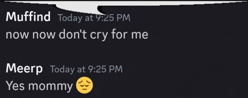 a screenshot of a conversation between muffin and meerp