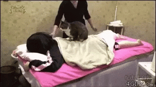 Cat Massage GIF - Cat Massage Chill GIFs