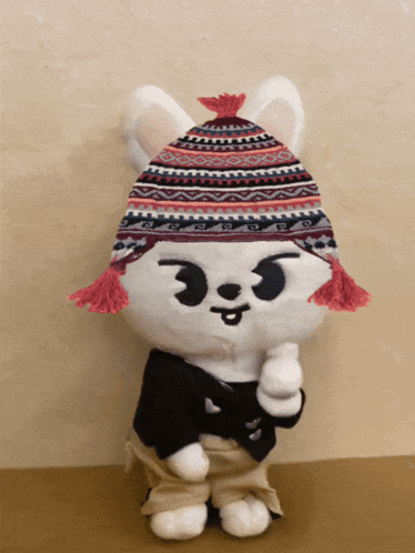 a stuffed animal wearing a knitted hat and a black shirt