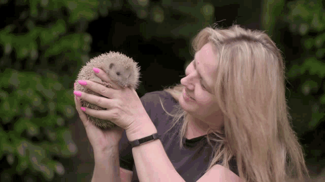 a woman is holding a small hedgehog with pink nails
