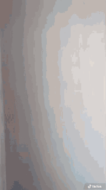 a person is standing in front of a white wall with a tiktok logo on the bottom right corner .