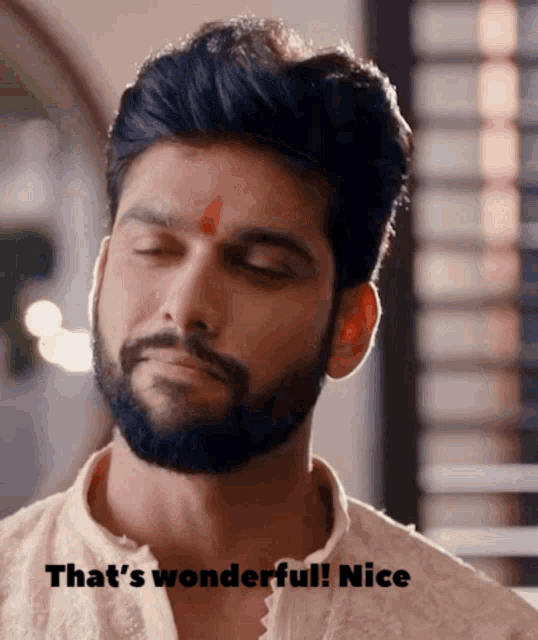 a man with a beard and a red dot on his forehead says " that 's wonderful "