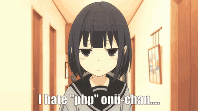 a cartoon girl says i hate php onii-chan