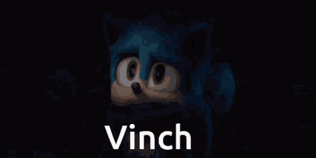 a close up of a sonic the hedgehog with the words vinch written below it