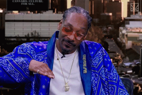 Break Snoop Dogg GIF - Break Snoop Dogg Stop GIFs