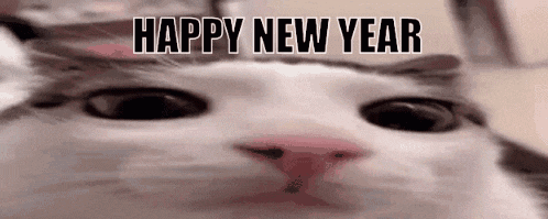 a close up of a cat 's face with the words `` happy new year '' written in the background .