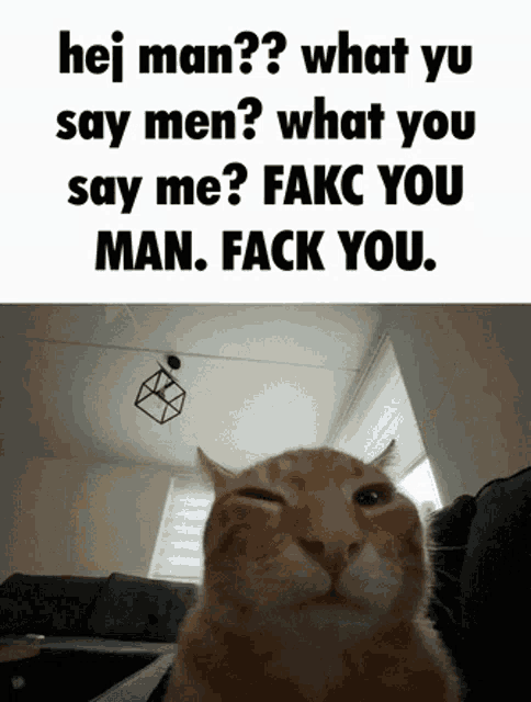 Hei Man What Yu Say Men Cat GIF - Hei Man What Yu Say Men Cat GIFs