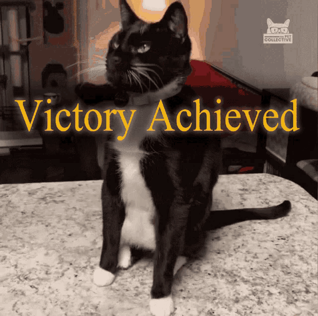 Victory Achieved GIF - Victory Achieved Victory Achieved GIFs