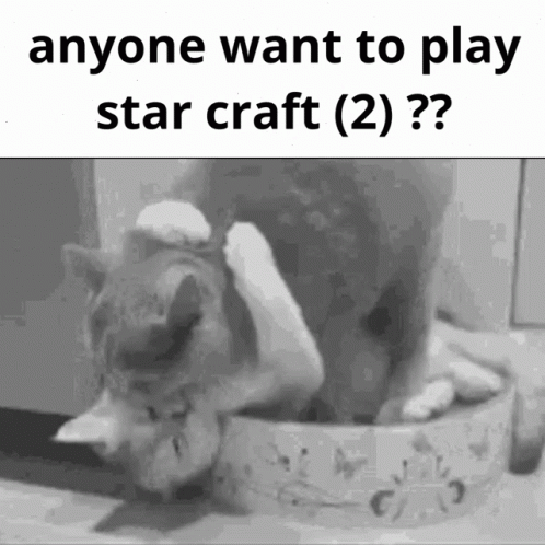 Star Craft Starcraft2 GIF - Star Craft Starcraft2 Anyone Want To Play GIFs