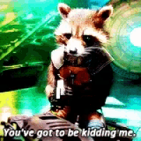 a raccoon is sitting on top of a gun with the words `` you 've got to be kidding me '' .