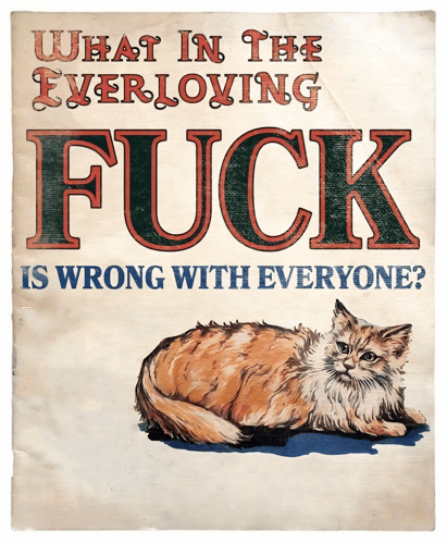 a poster with a cat on it that says what in the everloving fuck is wrong with everyone