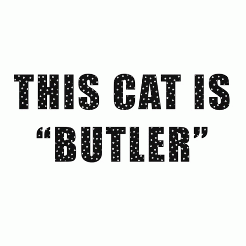 This Cat Is Butler Butler Cat GIF - This Cat Is Butler Butler Cat Penelope Butler Cat GIFs