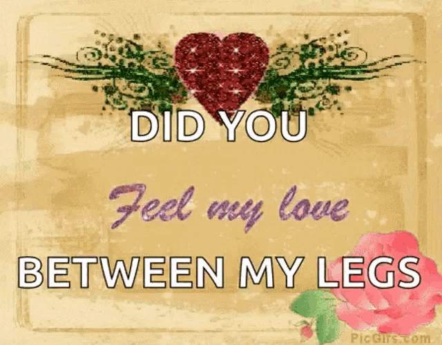a card with a heart and the words " did you feel my love between my legs "