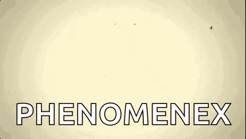 the word phenomenox is written on a brown background