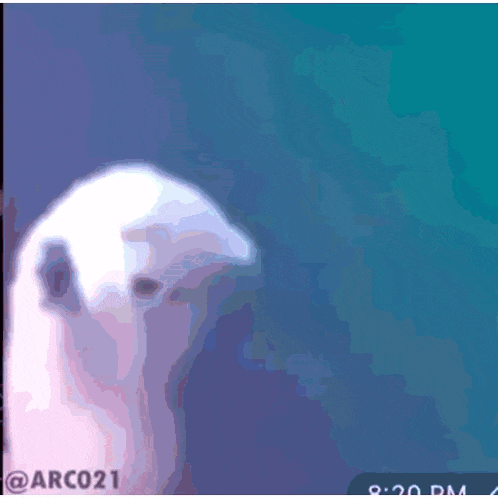 a picture of a bird with the time of 8:20 pm on the bottom