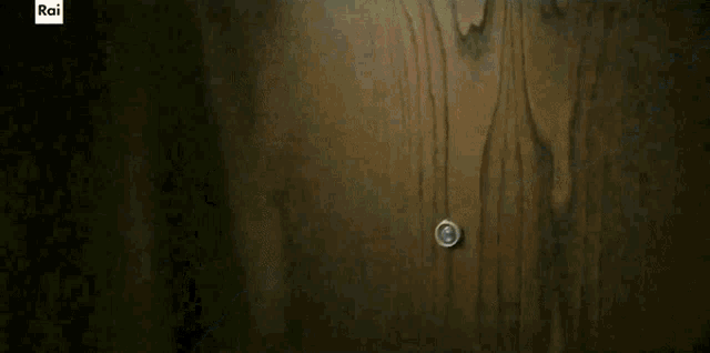 a man with a beard is standing in front of a door with the letter h on it .
