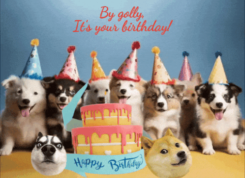 a bunch of dogs wearing party hats and a birthday cake