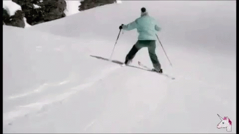 Peur Ski GIF - Peur Ski Neige GIFs