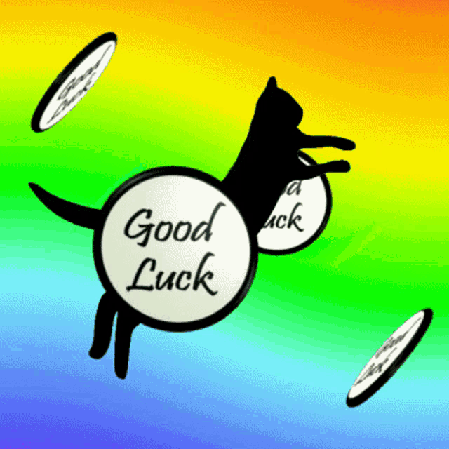 a cat is jumping into a good luck circle