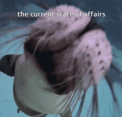 a picture of a seal with the current state of affairs written on it