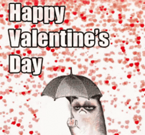Amor Cats GIF - Amor Cats Valentines GIFs