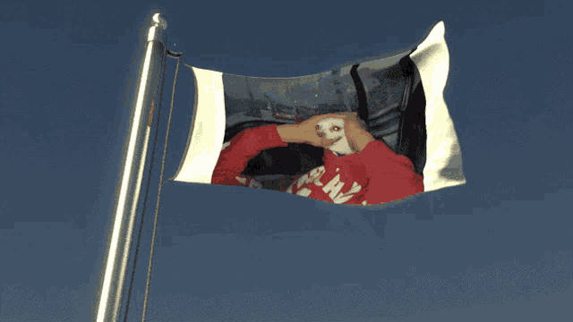 a flag with a picture of a person and a dog and the word army on it