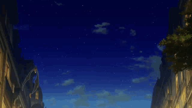 a bat is flying in the night sky over a city