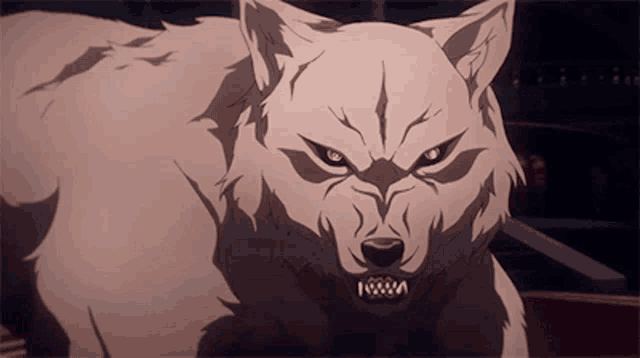 a white wolf with a very angry look on its face is standing in a room .