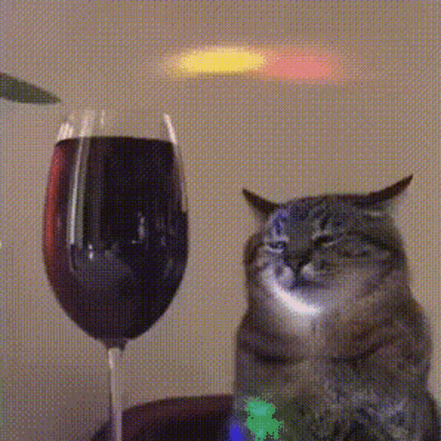 Cat Wine GIF - Cat Wine Lonely GIFs