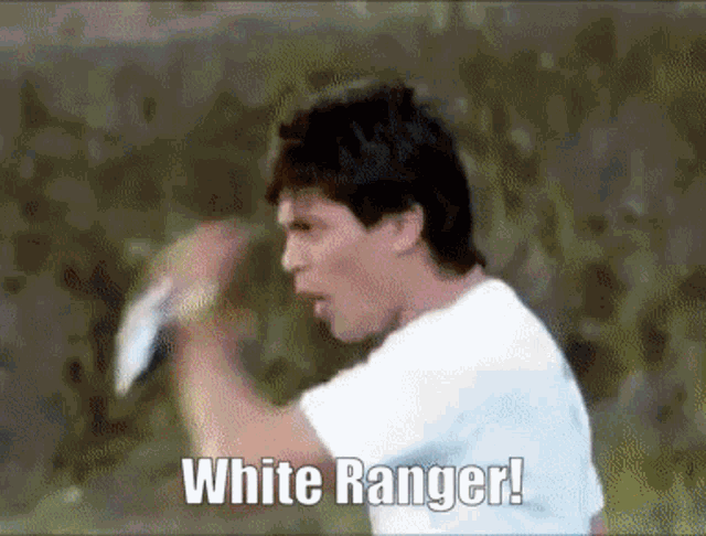 Power Rangers Dino Thunder GIF - Power Rangers Dino Thunder White Ranger GIFs