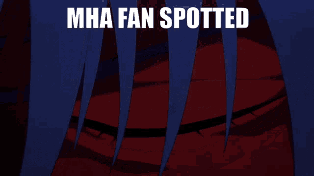 a close up of a person 's eye with the words " mha fan spotted " above it