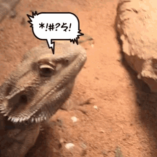 a lizard with a speech bubble that says * ! # ? $ !