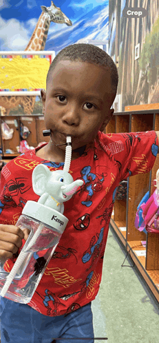 a young boy wearing a red shirt with spider-man on it is holding a water bottle with an elephant on it