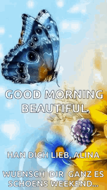 a butterfly is flying over a flower with the words `` good morning beautiful ''