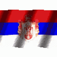 a flag with a coat of arms on it